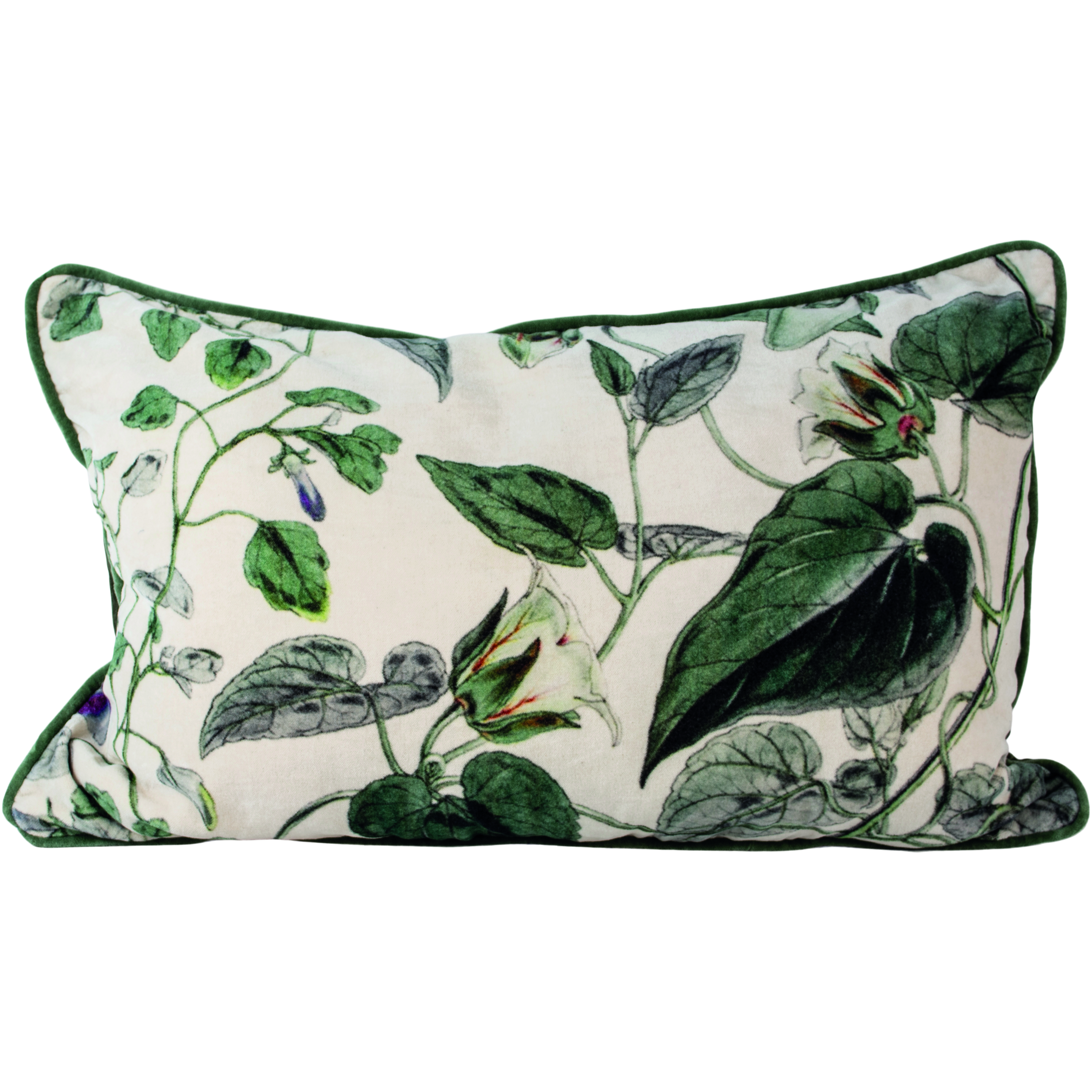 NEW! Liana Velvet Cushion