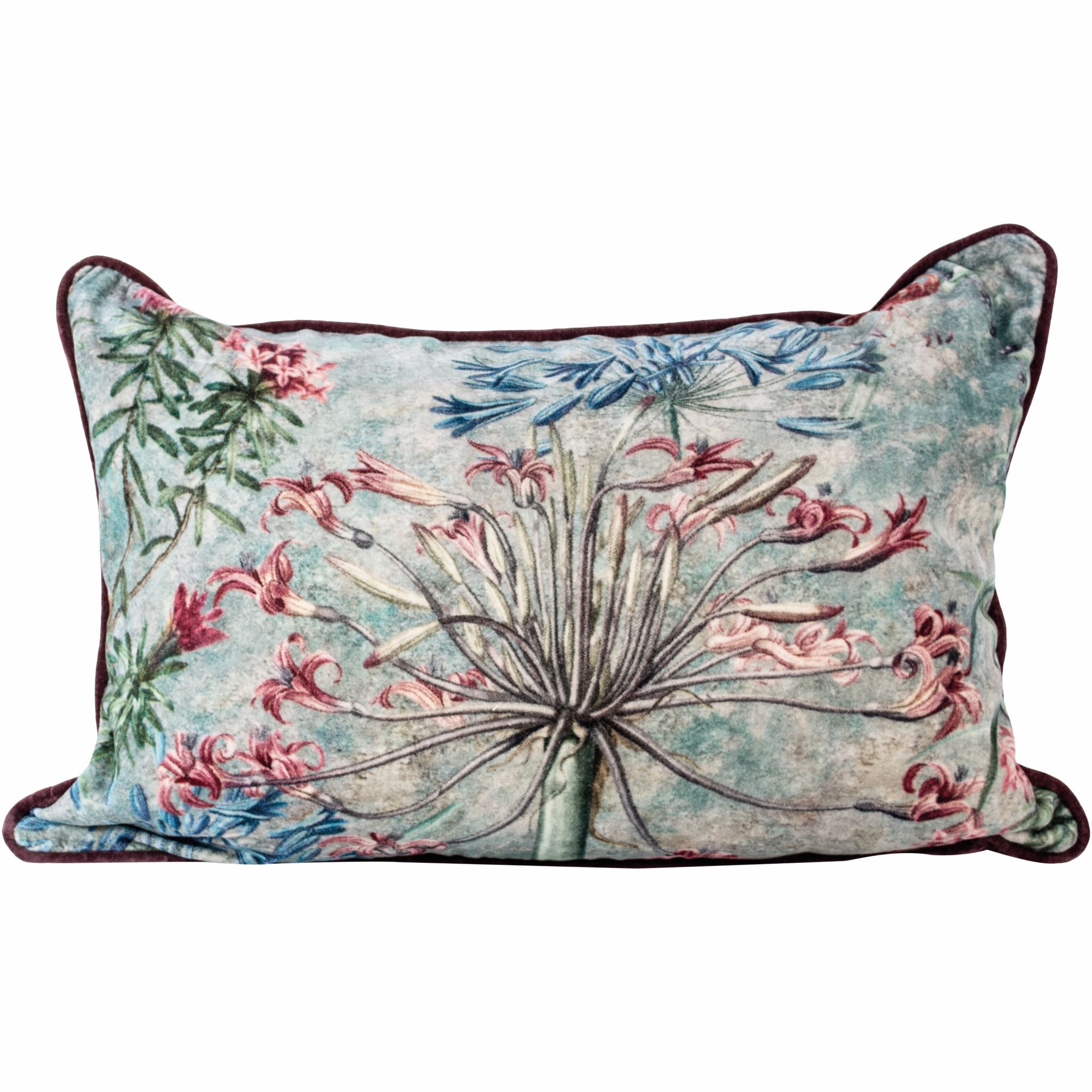 NEW! Velvet Cushion Pink & Blue Agapanthus