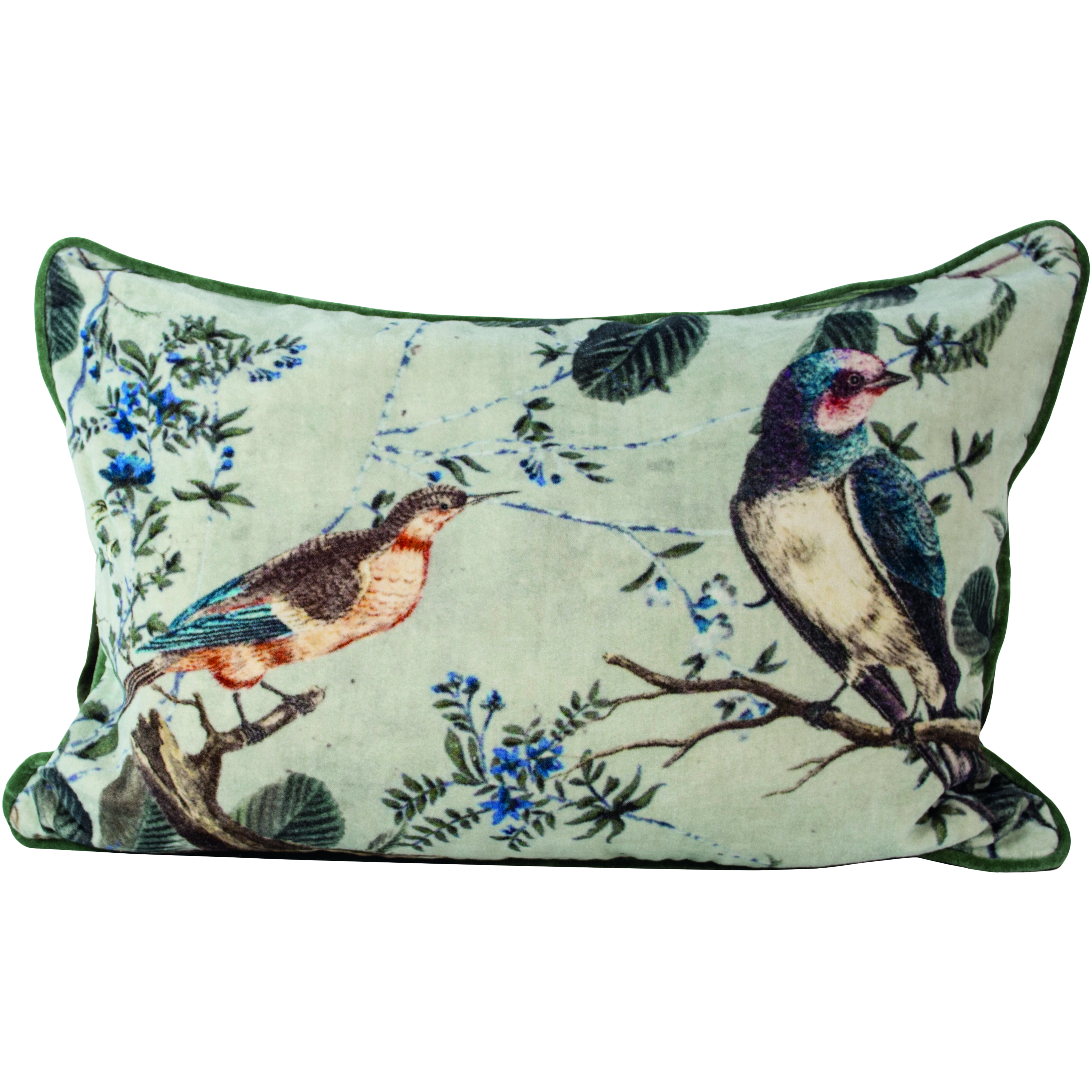 NEW!  Velvet Cushion Plumbago